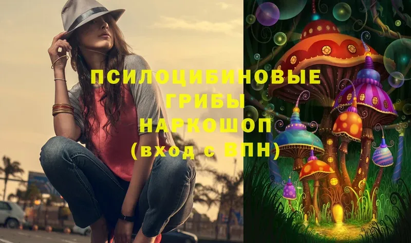 Псилоцибиновые грибы Psilocybe  Канаш 