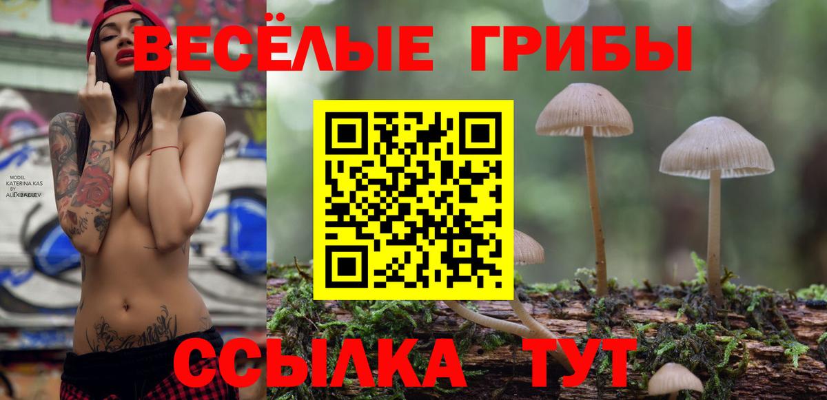 Псилоцибиновые грибы Psilocybine cubensis  Канаш 