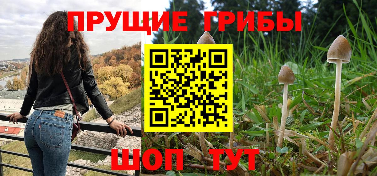 Канаш  Псилоцибиновые грибы мицелий  Галлюциногенные грибы MAGIC MUSHROOMS  Вход с VPN 