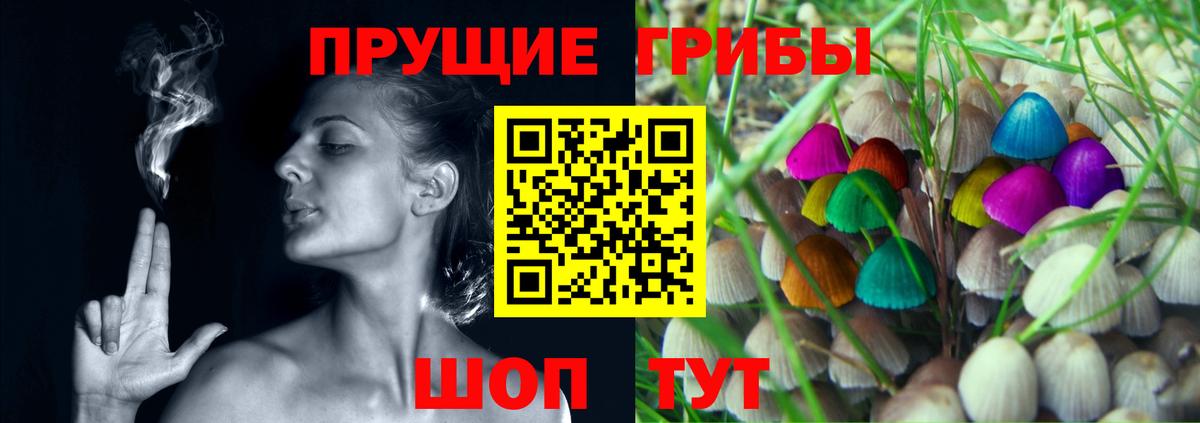 Псилоцибиновые грибы Канаш