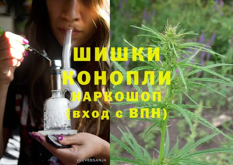 Конопля OG Kush  хочу   Канаш 